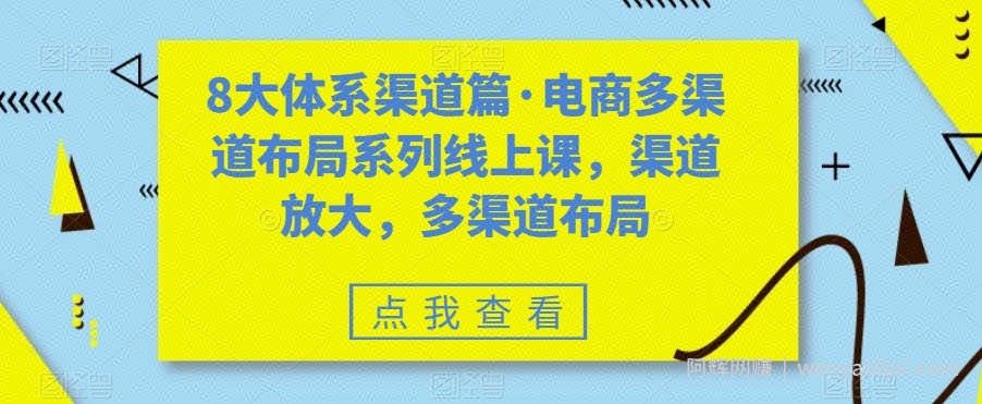 8大体系渠道篇·电商多渠道布局系列线上课，渠道放大，多渠道布局