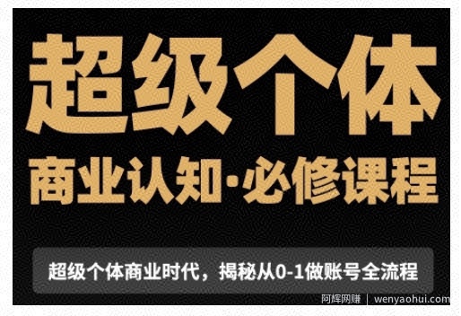 超级个体商业认知觉醒视频课，商业认知·必修课程揭秘从0-1账号全流程