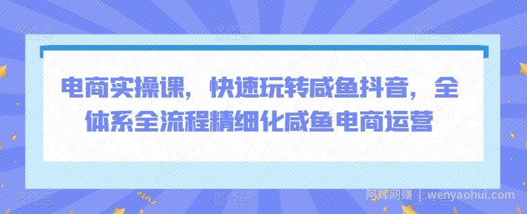 电商实操课，快速玩转咸鱼抖音，全体系全流程精细化咸鱼电商运营