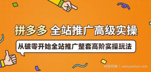拼多多全站推广高级实操：从破零开始全站推广整套高阶实操玩法