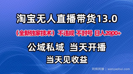 淘宝无人直播13.0，公域私域技术，不封号，不违规布局下半年旺季赛道，日入1K+（独家技术）【揭秘】