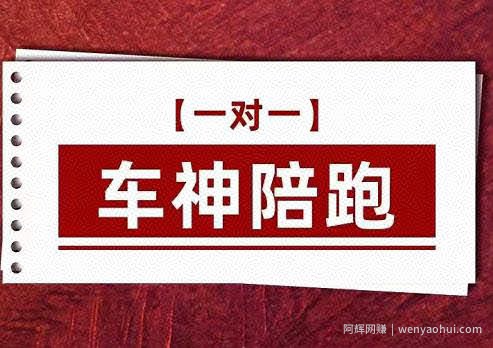纪主任.车神陪跑，拼多多系统化课程，全新系列课+专业运营给你店铺出运营方向