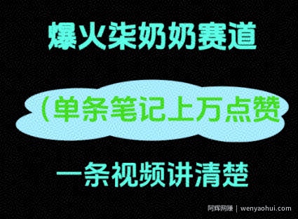 小红书爆火柒奶奶，13 天涨粉 8.7 W，全流程拆解