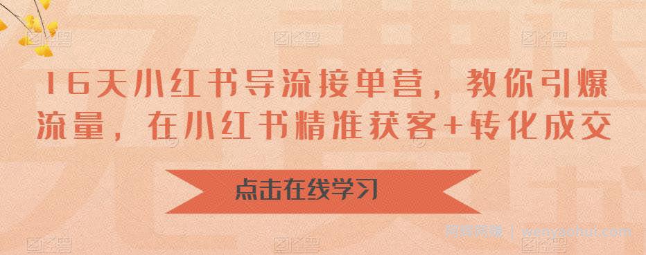 16天小红书导流接单营，教你引爆流量，在小红书精准获客+转化成交