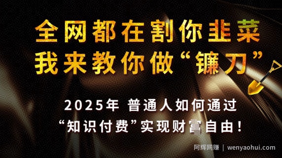 全网都在割你韭菜，我来教你做镰刀，2025普通人如何通过知识付费，实现财F自由【揭秘】