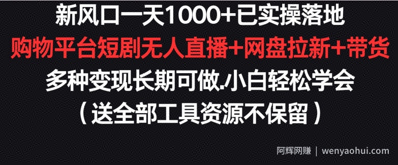 新风口一天1000+已实操落地购物平台短剧无人直播+网盘拉新+带货多种变现长期可做【揭秘】