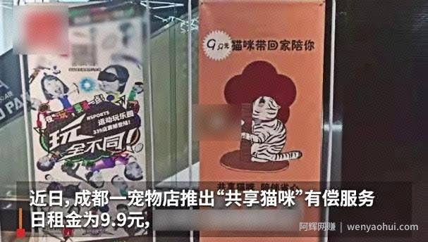 分享5个逆向思维的賺米项目，低成本启动，让賺米像喝水一样简单！