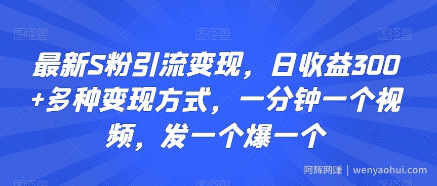 最新S粉引流变现，日收益300+多种变现方式，一分钟一个视频，发一个爆一个【揭秘】
