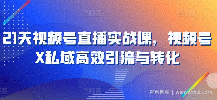 21天视频号直播实战课，视频号X私域高效引流与转化