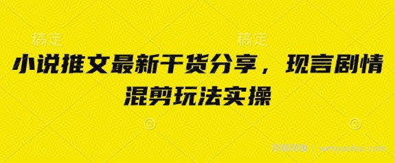 小说推文最新干货分享，现言剧情混剪玩法实操
