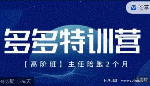 纪主任·多多特训营高阶班【9月13日更新】，拼多多最新玩法技巧落地实操