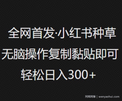 全网首发，小红书种草无脑操作，复制黏贴即可，轻松日入3张