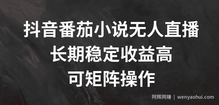 抖音番茄小说无人直播，长期稳定收益高，可矩阵操作【揭秘】