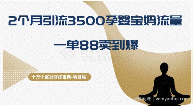 十万个富翁修炼宝典之13.2个月引流3500孕婴宝妈流量,一单88卖到爆