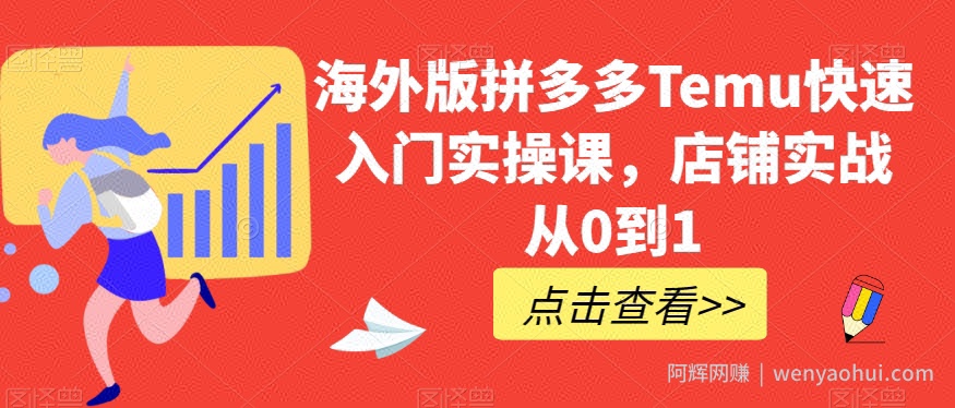 海外版拼多多Temu快速入门实操课，店铺实战从0到1