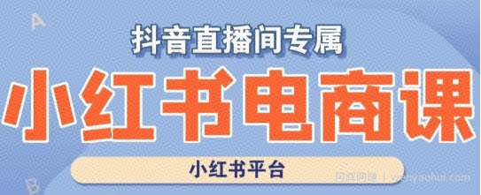 小红书电商高级运营课程，实操教学+案例分析