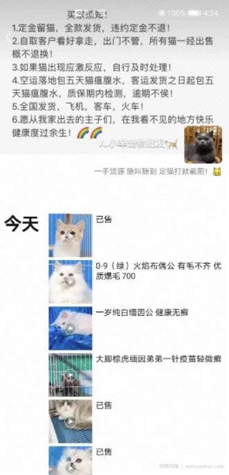 网创项目：一个闲鱼引流，微信成交的绝对暴利项目！