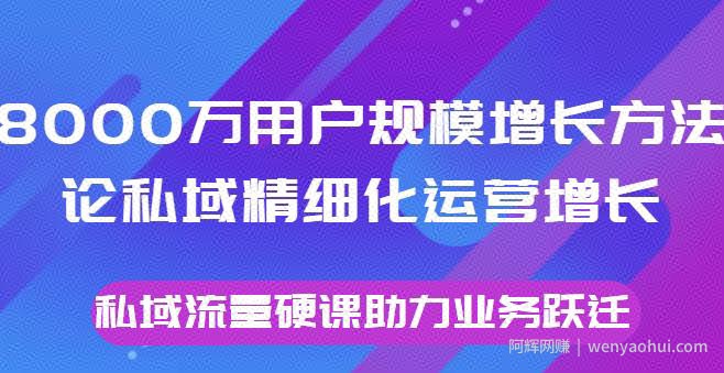 8000万用户规模增长方法论私域精细化运营增长，私域流量硬课助力业务跃迁