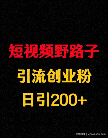 短视频野路子引流创业粉，日引200+