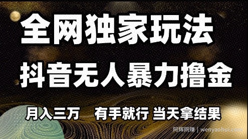 全网独家玩法抖音无人暴力撸金，月入3W，有手就行，当天拿结果【揭秘】