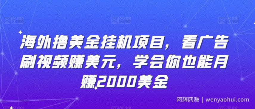 海外撸美金挂JI项目,看广告刷视频赚美元,学会你也能月赚2000美金