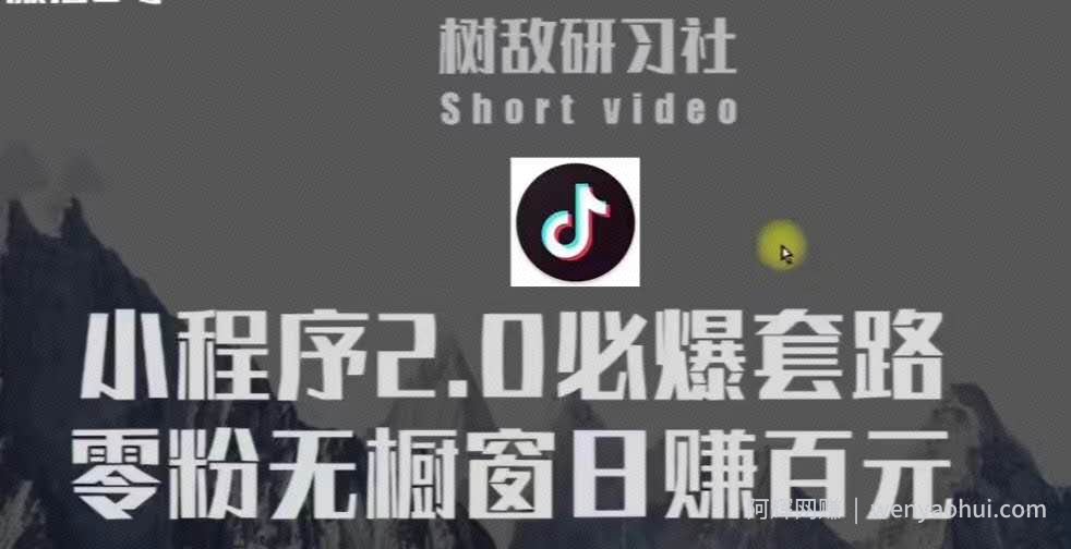 树敌研习社6月抖音賺米课程：抖音小程序2.0必爆套路零粉无橱窗日赚百元玩法