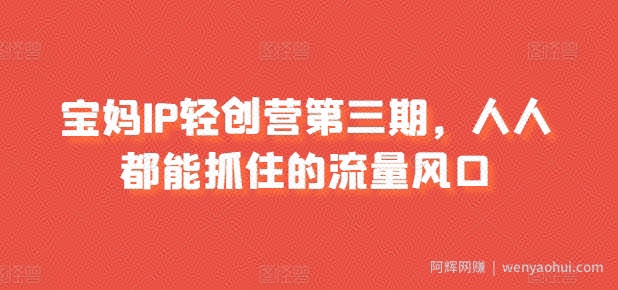 宝妈IP轻创营第三期，人人都能抓住的流量风口