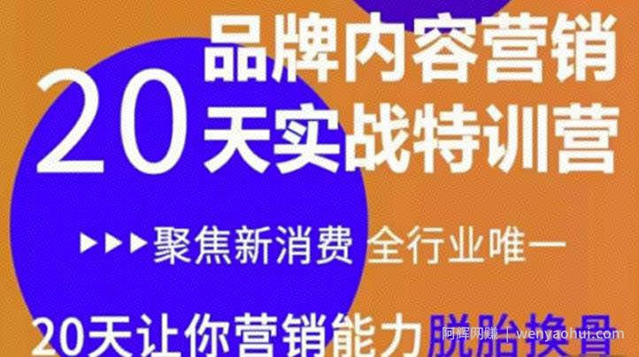 《内容营销实操特训营》20天让你营销能力脱胎换骨（价值3999）