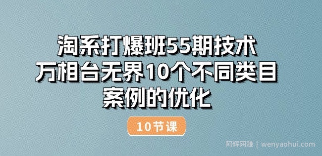 淘系打爆班55期技术：万相台无界10个不同类目案例的优化(10节)