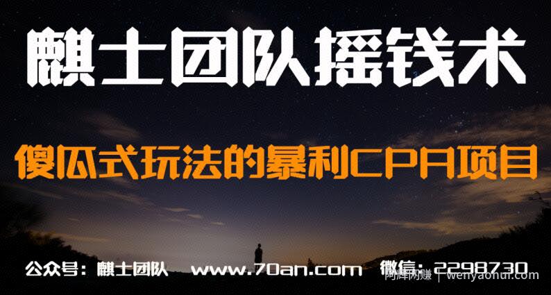 麒士团队摇钱术21:傻瓜式玩法的暴利CPA项目【视频课程】