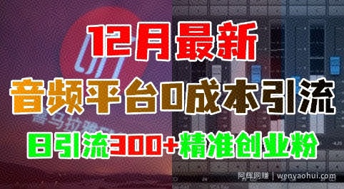 12月最新：音频平台0成本引流，日引流300+精准创业粉