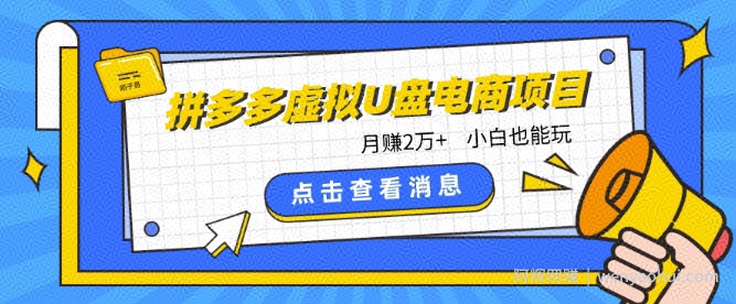 拼多多虚拟U盘电商红利项目：月赚2万+，新手小白也能玩