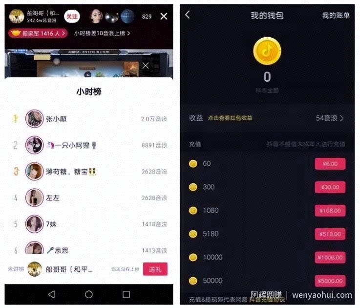 抖音直播音浪项目，偏门玩法，日入过千