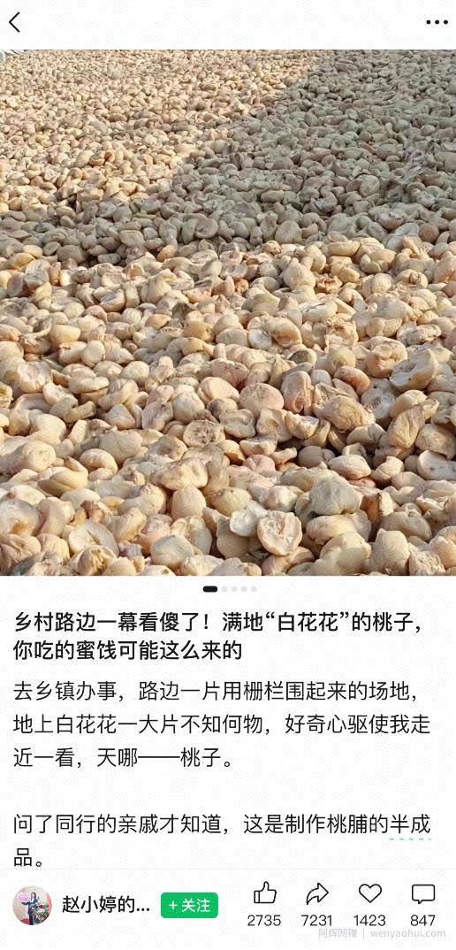 公众号小绿书贴图项目，赚收益实操玩法，听话照听话照少走90%弯路丨副业可做