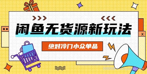 闲鱼无货源冷门单品项目，绝对冷门小众单品