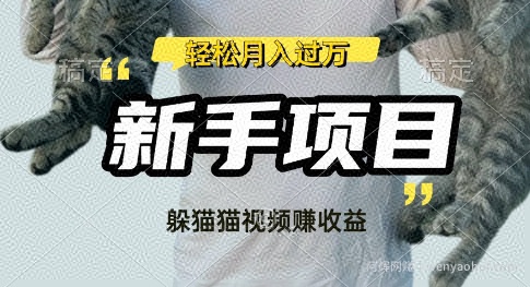 利用老外躲猫猫大赛视频，挣分成收益，操作简单，新手小白，轻松月入过W