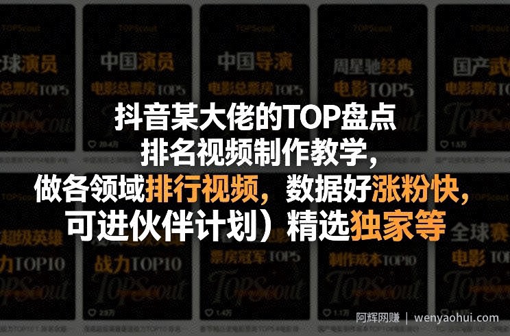 抖音某大佬的TOP盘点排名视频制作，做各领域排行视频，数据好涨粉快，可进伙伴计划＋精选独家等