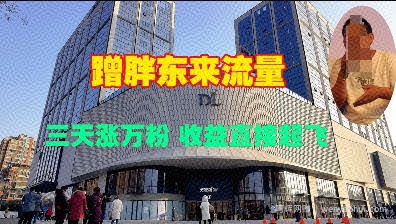 蹭胖东来流量，三天涨万粉，收益直接起飞
