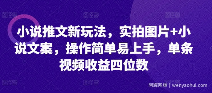 小说推文新玩法，实拍图片+小说文案，操作简单易上手，单条视频收益四位数