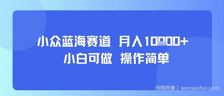 小众蓝海赛道，小白可做，操作简单，每天30分钟，月入1W+