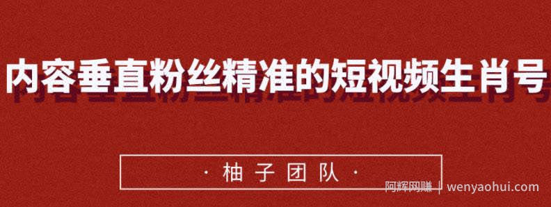内容垂直粉丝精准的短视频生肖号，小众领域简单操作月入10000+【视频课程】