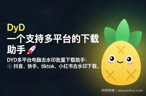 DYD多平台电脑去水印批量下载助手：抖音、快手、tiktok、小红书去水印下载