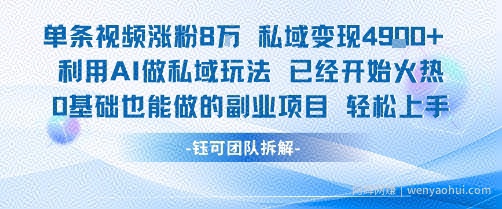 单条视频私域变现4.9k+利用AI做私域玩法 已经开始火热0基础也能做的副业项目轻松上手