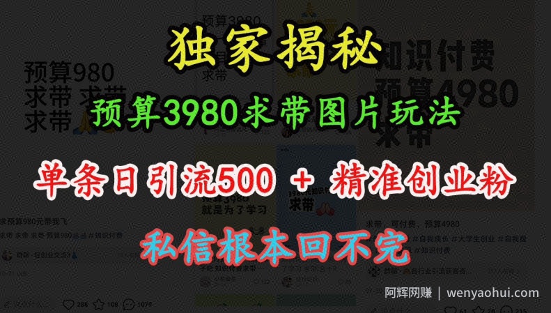 预算3980求带 图片玩法，单条日引流500+精准创业粉，私信根本回不完