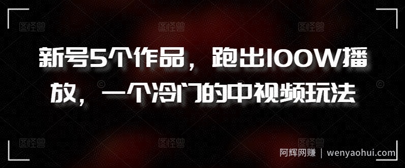 新号5个作品，跑出100W播放，一个冷门的中视频玩法【揭秘】