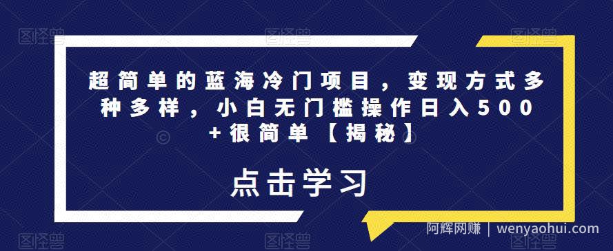 超简单的蓝海冷门项目,变现方式多种多样,小白无门槛操作日入500+很简单【揭秘】