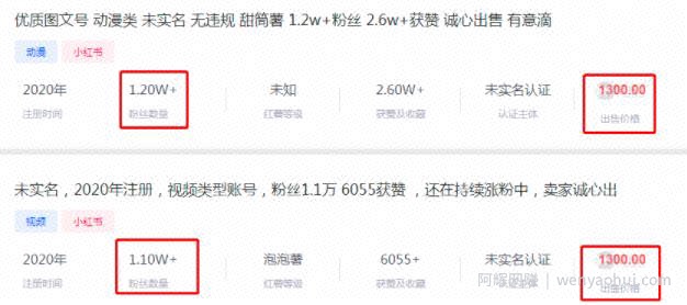 小红书涨粉进行卖号变现项目，操作简单，每天一小时，每月轻松多赚几千