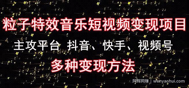 黄岛主《粒子特效音乐短视频变现项目》主攻平台抖音、快手、视频号多种变现方法