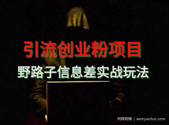 【引流创业粉】野路子信息差玩法实战教学