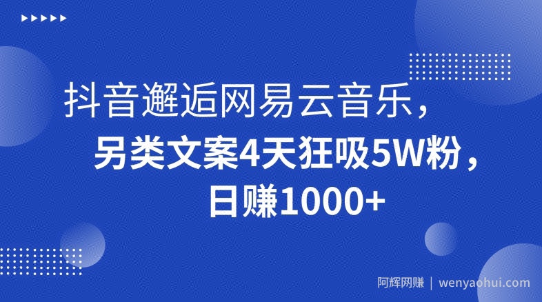 抖音邂逅网易云音乐，另类文案4天狂吸5W粉，日赚1000+【揭秘】